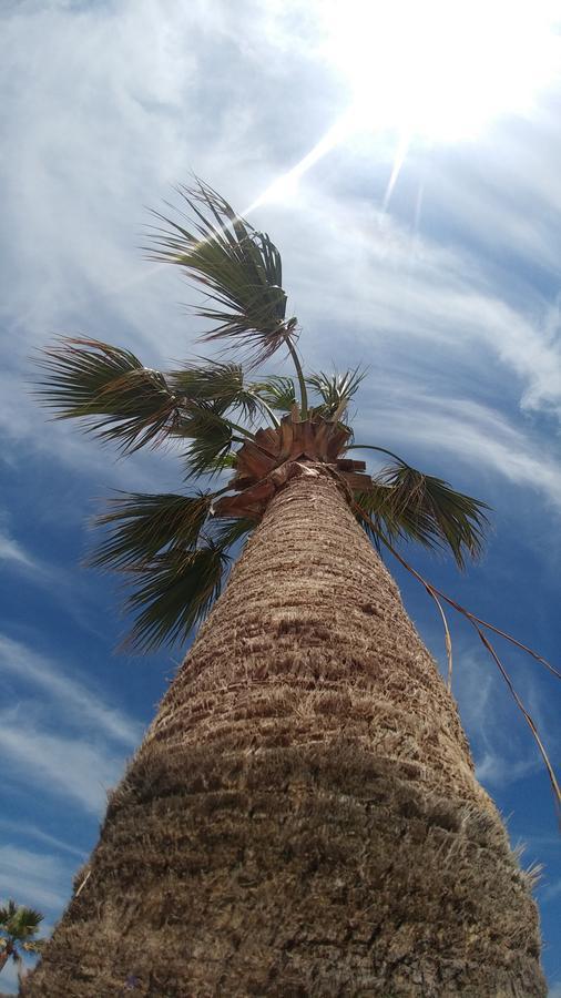 Sandy Beach Apartment 3 فوروكليني المظهر الخارجي الصورة